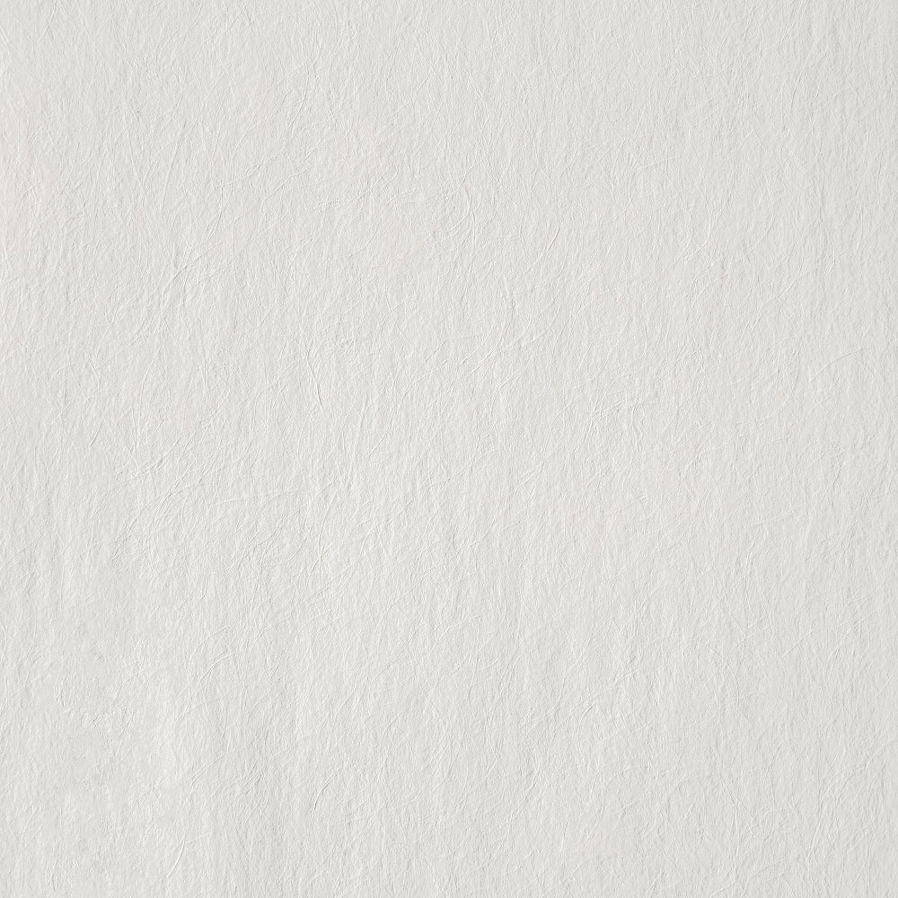 BEP002