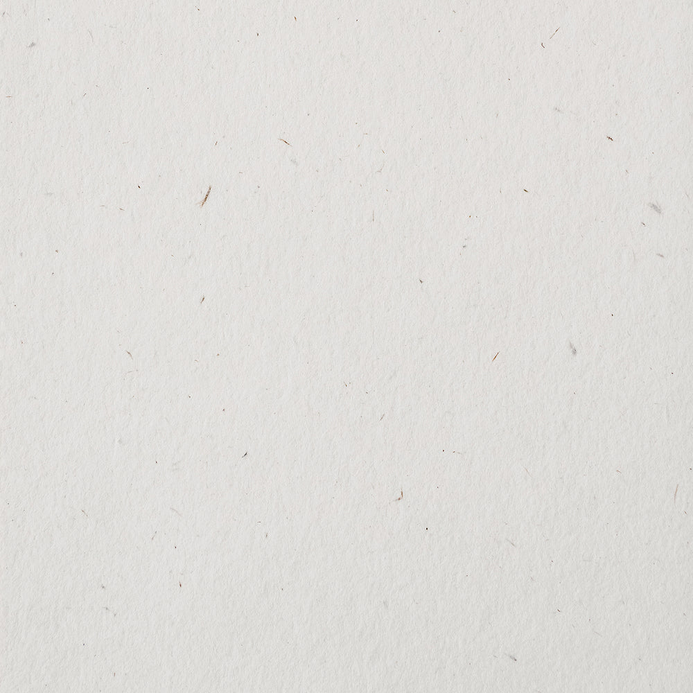 MTP002