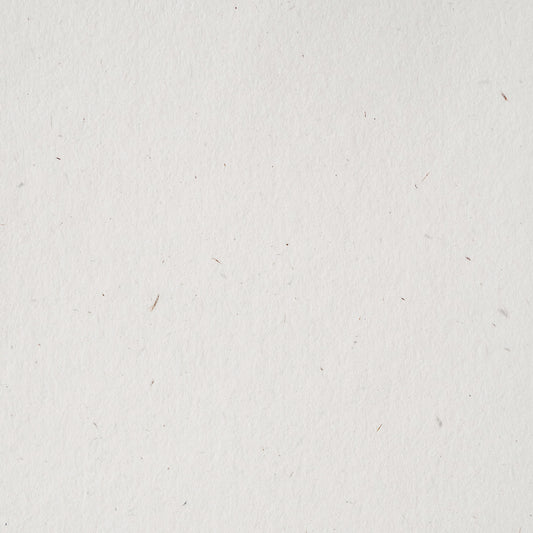MTP003