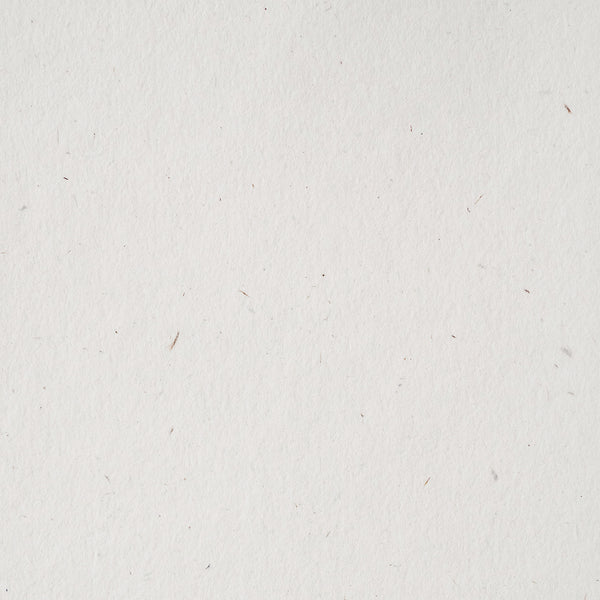 MTP003