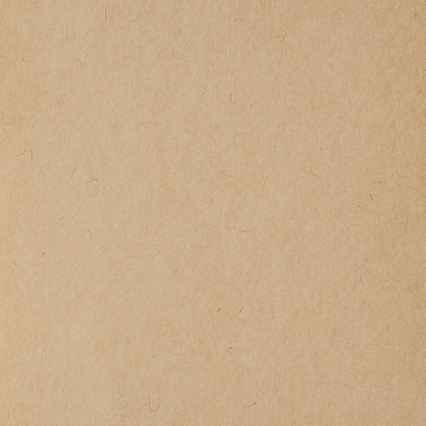 SVP003